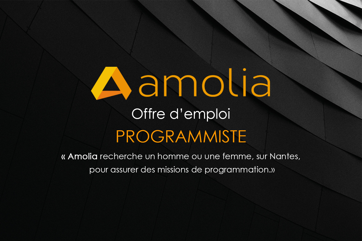 Offre emploi programmiste Offre emploi programmiste AMOLIA